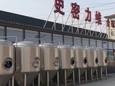 肇源精酿啤酒设备厂—如何判断精酿啤酒设备的密封件需要更换？